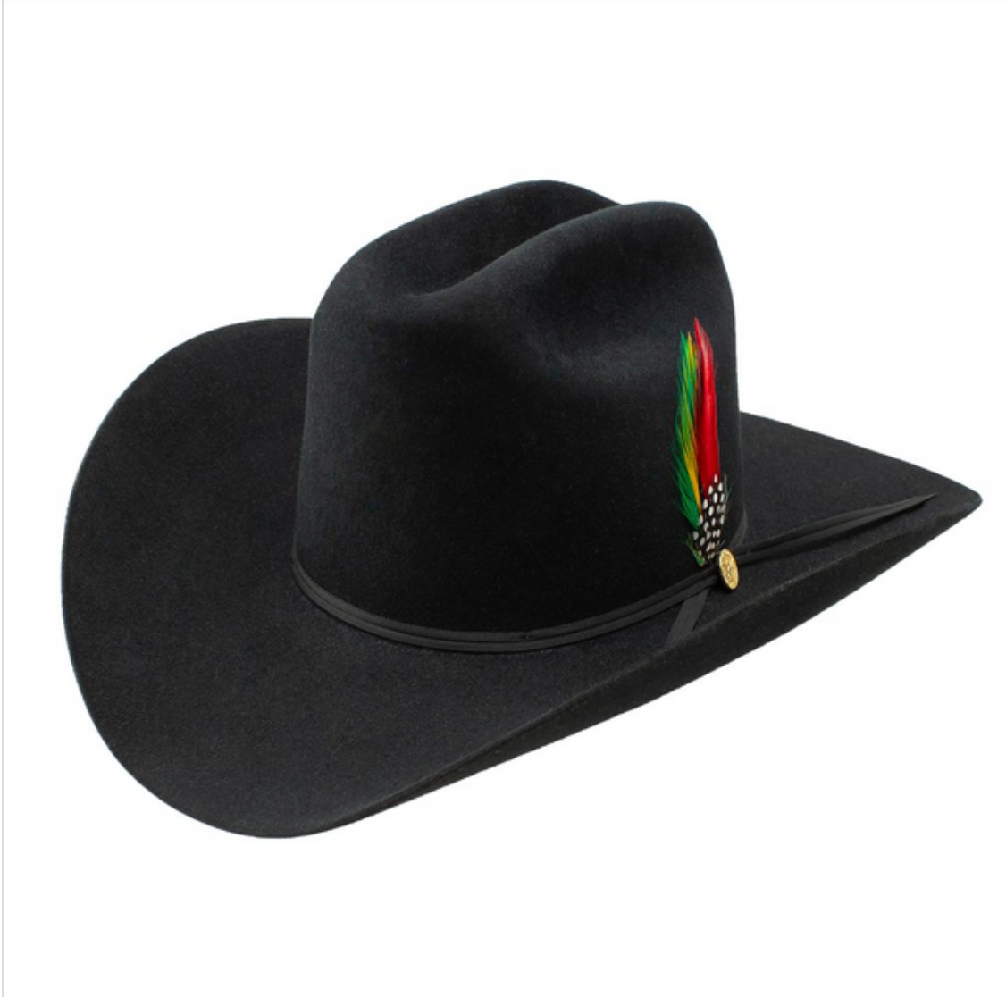 Stetson 6X Rancher 160th Edition Cowboy Hat