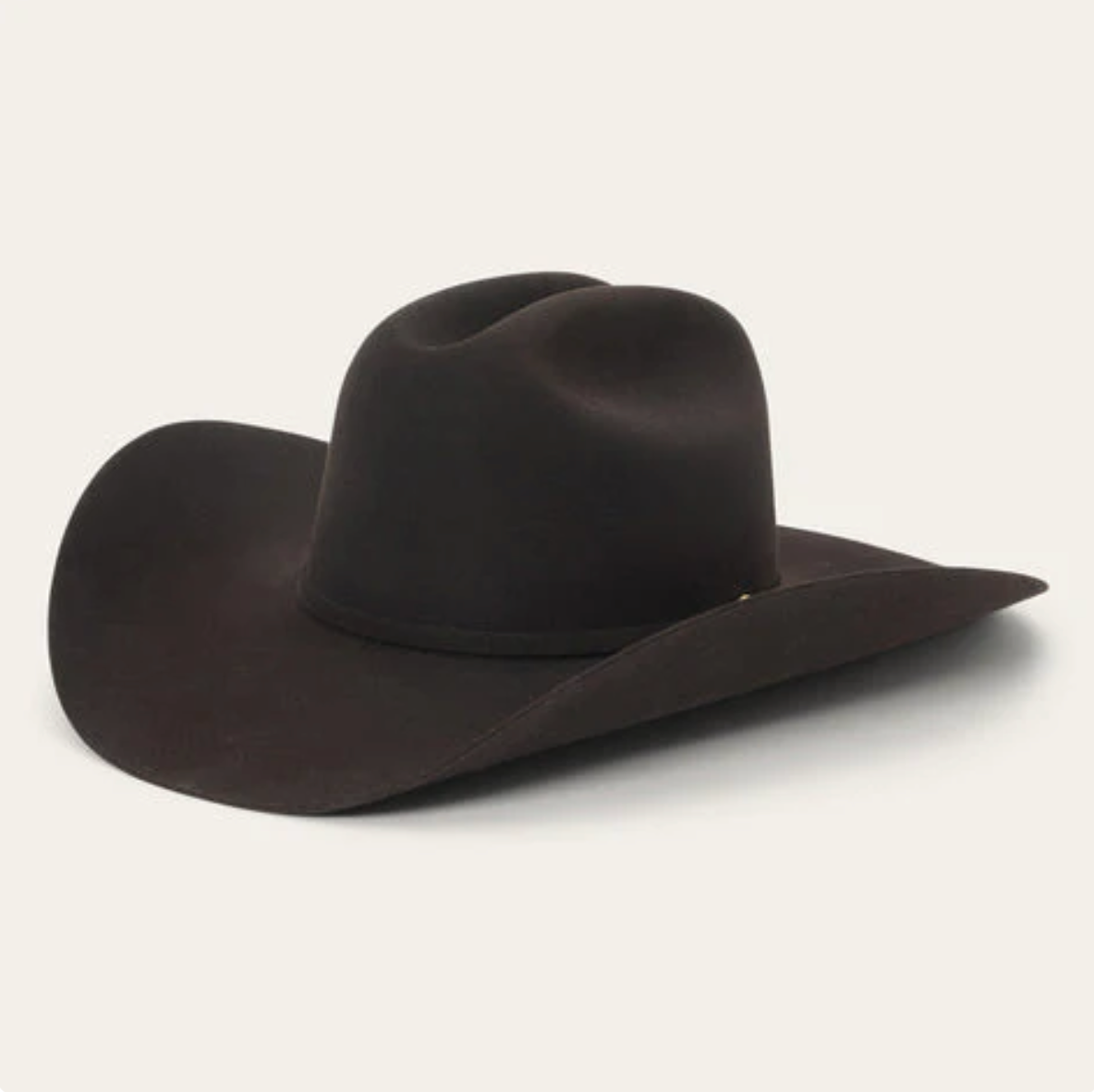 Stetson 100X The Golden Eagle Cowboy Hat