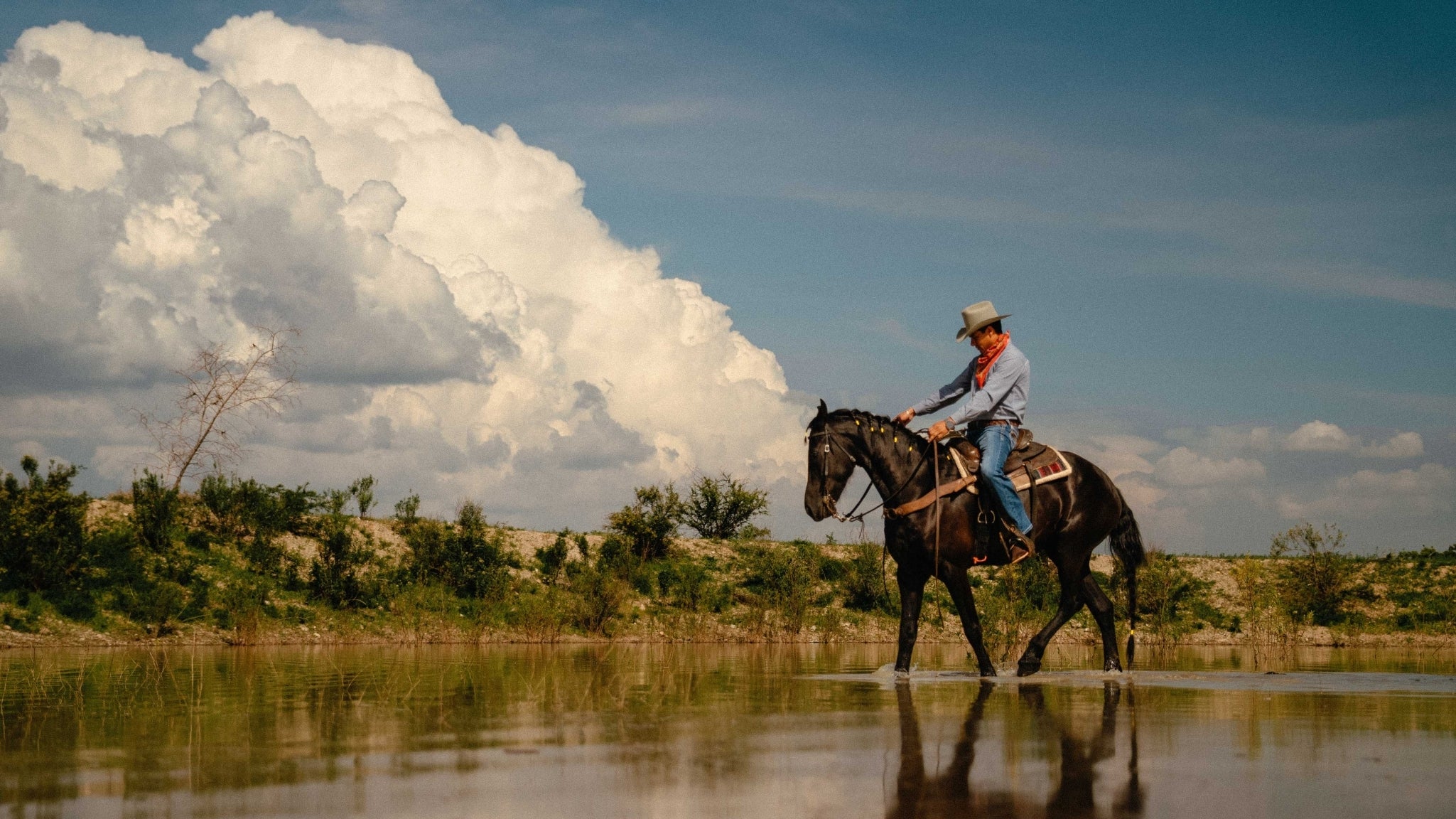 Person riding a horse near a body of water with a large cloud in the sky