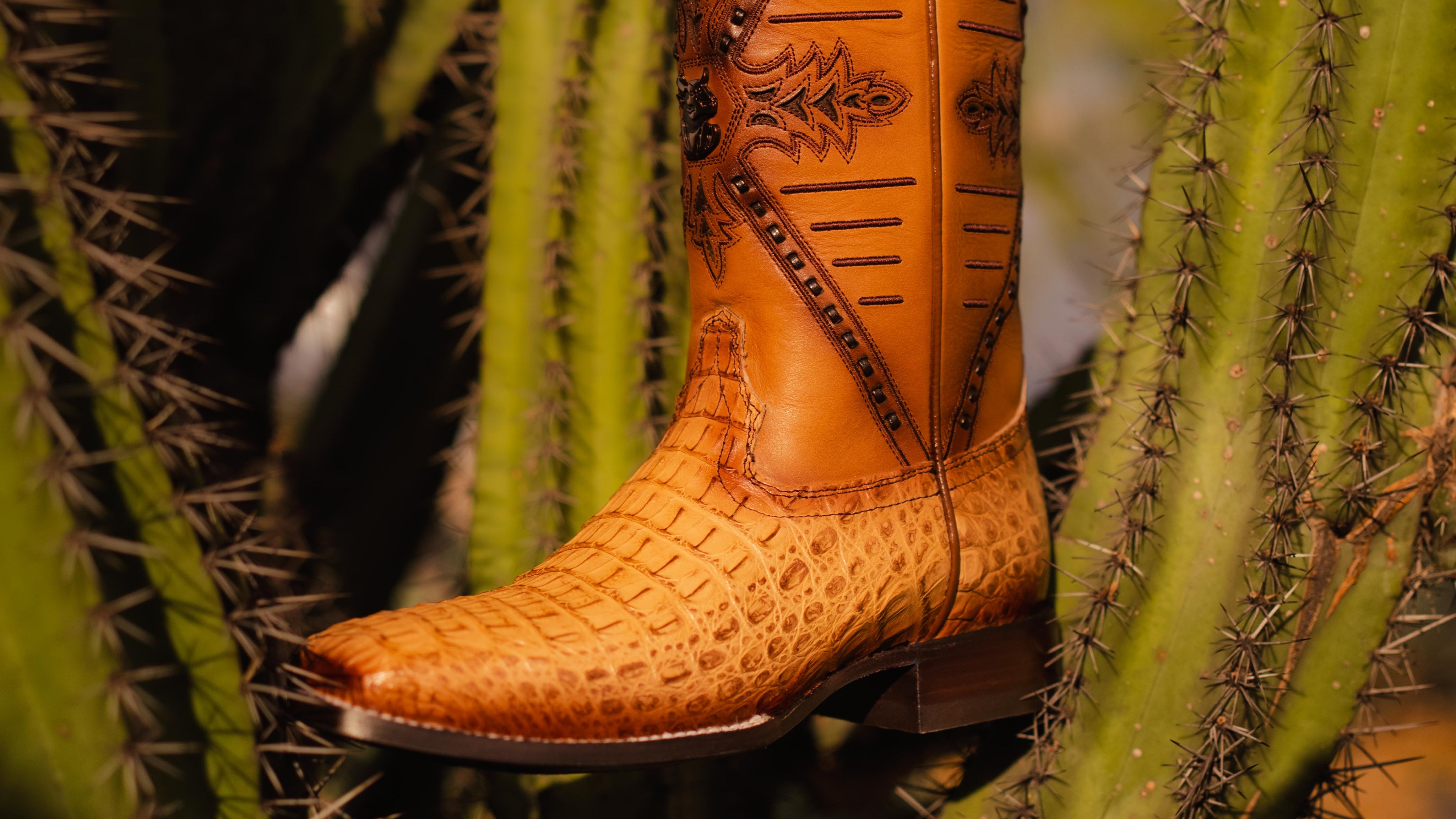 Brown cowboy boot with decorative patterns on a cactus plant