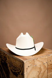 Sinaloa 100X Straw Hat