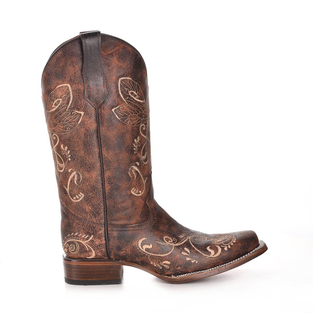 LD Distressed Brown-Bone Dragonfly Embroidery Sq. Toe Circle G by Corral